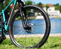 Specialized S-Works Renegade 2 Bliss MTB-Reifen 29 X 2.1 | Black -Cube Verkaufsgeschäft specialized s works renegade 2 bliss mtb reifen 29 x 21 black 003 53792 2200x1760 1280x1280